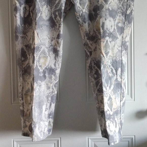 Lane Collection 👖NEW Platinum Denim Skinny Jeans Plus Size - Picture 2 of 13